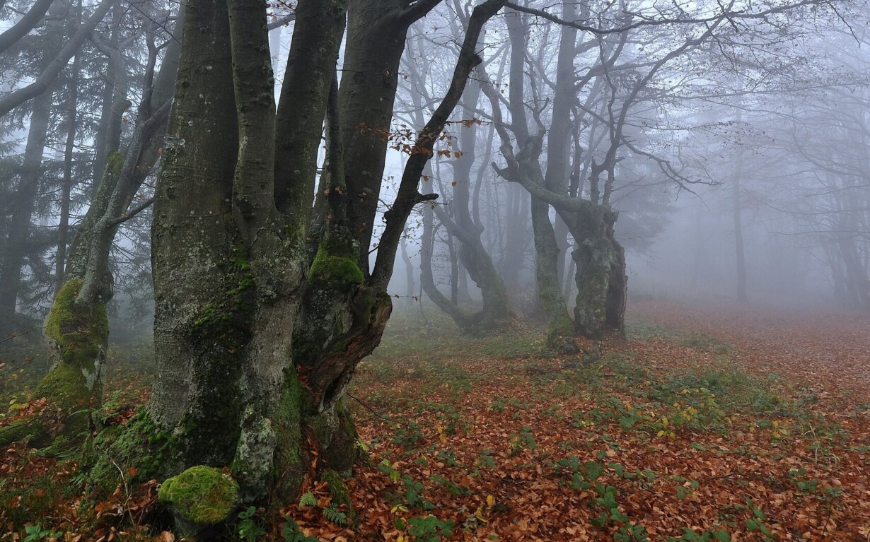 Vittoria al CDS-illegittimo il permesso di ricerca - il Parco Beigua è salvo