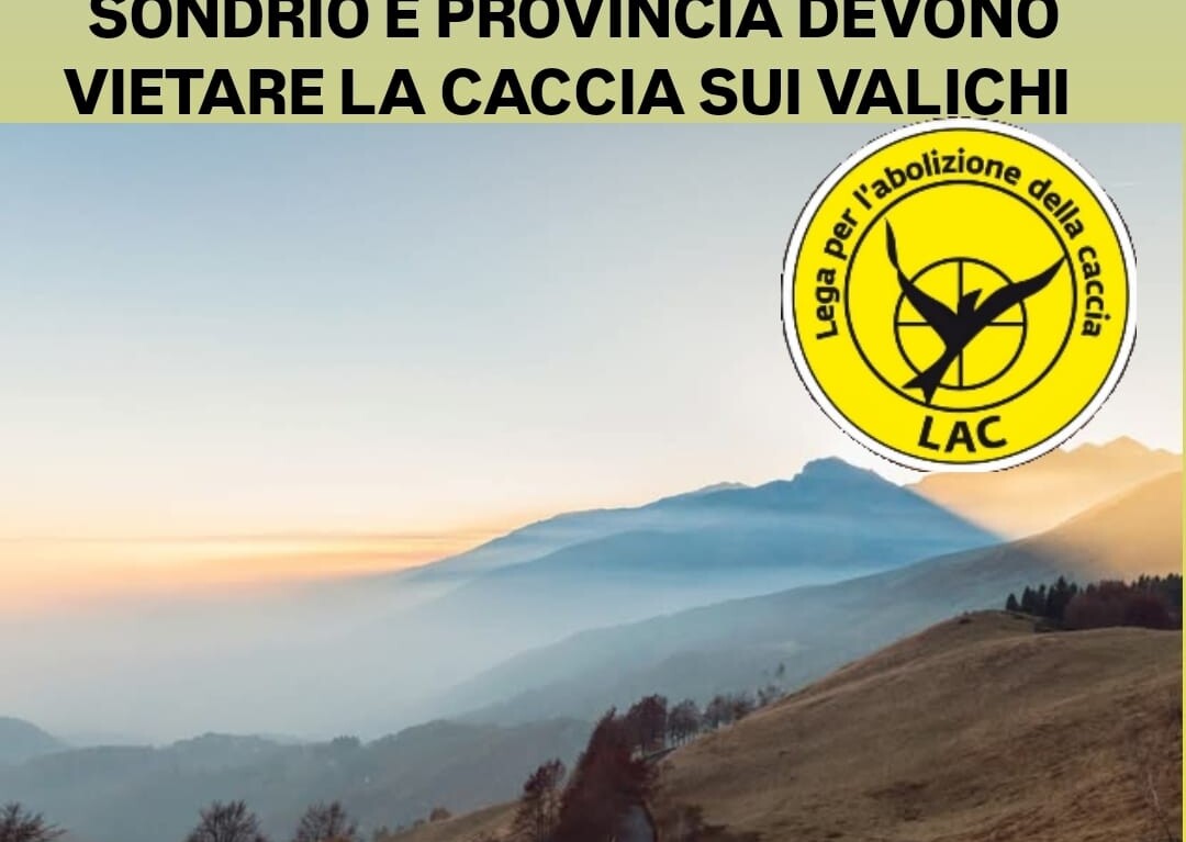 Sondrio - Vittoria al CdS:divieto caccia sui valichi