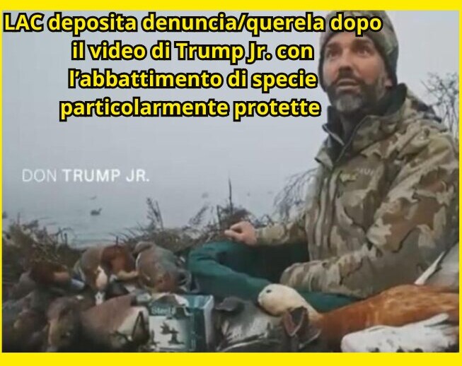 LAC deposita denuncia/querela dopo il video di Trump Jr.