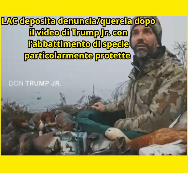 LAC deposita denuncia/querela dopo il video di Trump Jr.